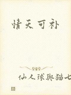 情天可补封面