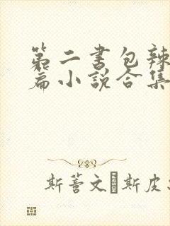 第二书包辣网短篇小说合集
