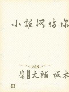 小说网站你懂的