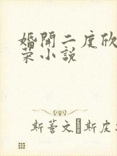 婚开二度欣欣向荣小说封面