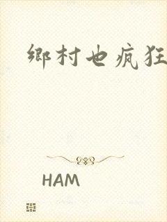 乡村也疯狂封面