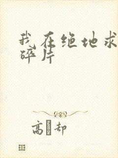 我在绝地求生捡碎片