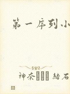 第一序列小说封面