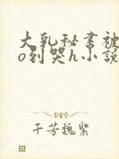 大乳秘书被cao到哭h小说封面