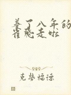 养了八年的金丝雀飞走啦