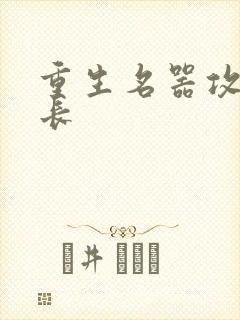 重生名器攻略兄长