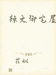 辣文御宅屋