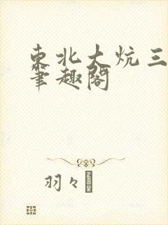 东北大炕三部曲笔趣阁