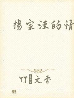 杨家洼的情事封面