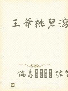 王爷桃儿泻了封面