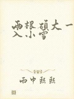 两根硕大一起挤入小雪