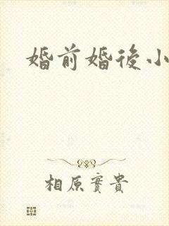 婚前婚后小说封面