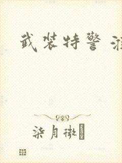 武装特警 淮上封面