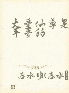 大爱仙尊是哪个平台的