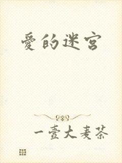 爱的迷宫