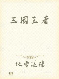 三国王者封面
