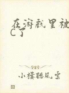在游戏里被怪物C了