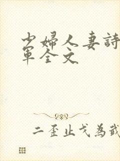 少妇人妻诗雨小军全文封面