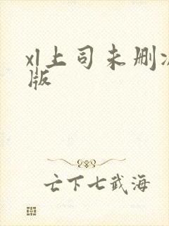 xl上司未删减版