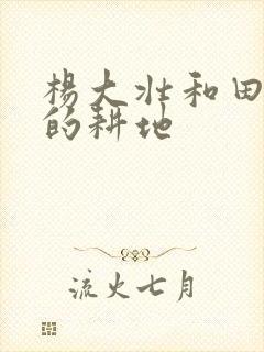 杨大壮和田桂花的耕地