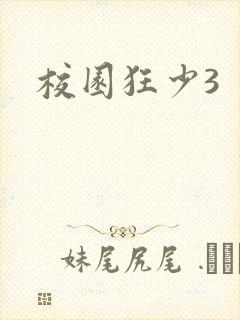 校园狂少3