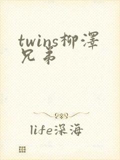 twins柳泽兄弟