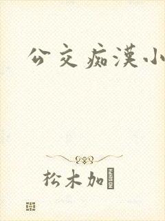 公交痴汉小说封面