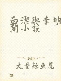 白洁与李明笔趣阁小说封面