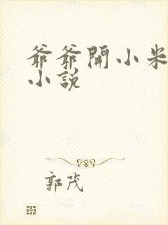 爷爷开小米的包小说