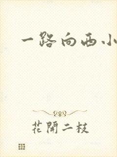 一路向西小说