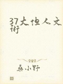 37大但人文艺术