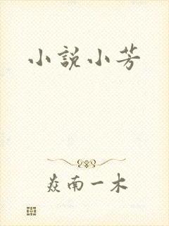 小说小芳