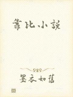 靠比小说