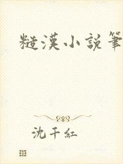 糙汉小说笔趣阁封面