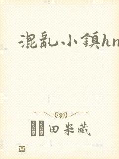 混乱小镇hnp封面