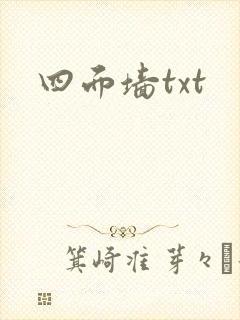 四面墙txt