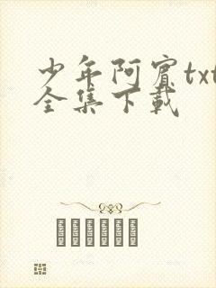 少年阿宾txt全集下载