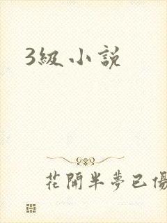 3级小说