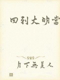 回到大明当才子