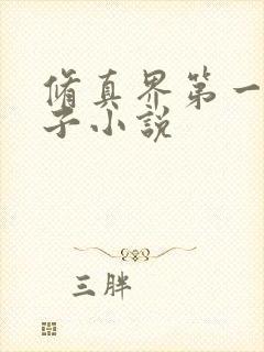 修真界第一病秧子小说封面