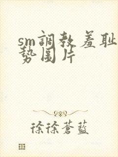 sm调教羞耻姿势图片封面
