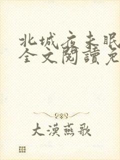 北城夜未眠小说全文阅读免费封面