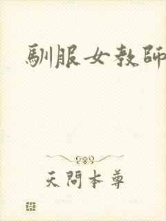 驯服女教师封面