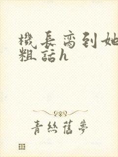 机长脔到她哭h粗话h