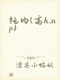 纯肉(高h.np)封面