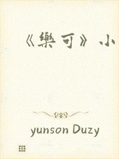《乐可》小说封面