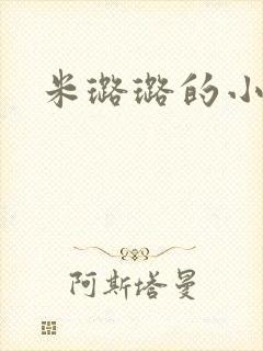 米璐璐的小说封面