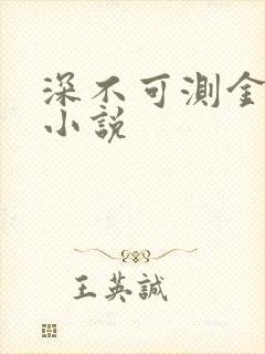 深不可测金银花小说