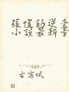 张俊的逆袭之路小说最新章节