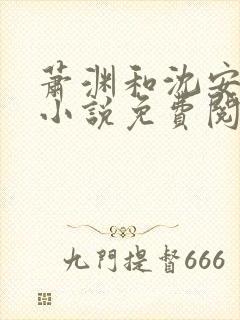 萧渊和沈安安的小说免费阅读